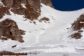 Guardiani del Passo